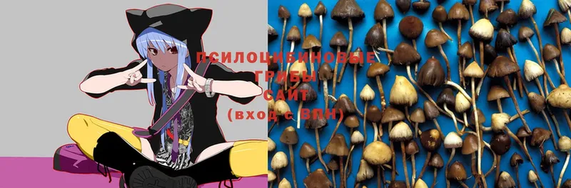 Галлюциногенные грибы MAGIC MUSHROOMS  Курган 